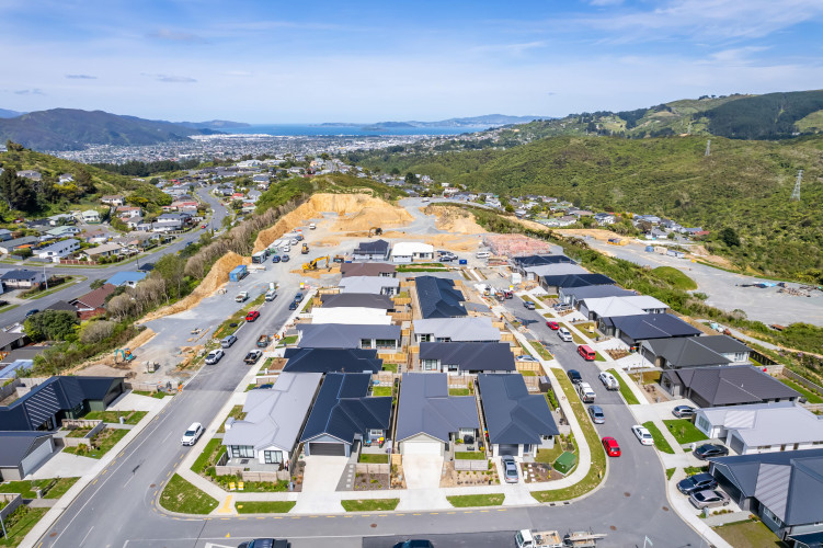 November 2023 Project Update 's Cover Image