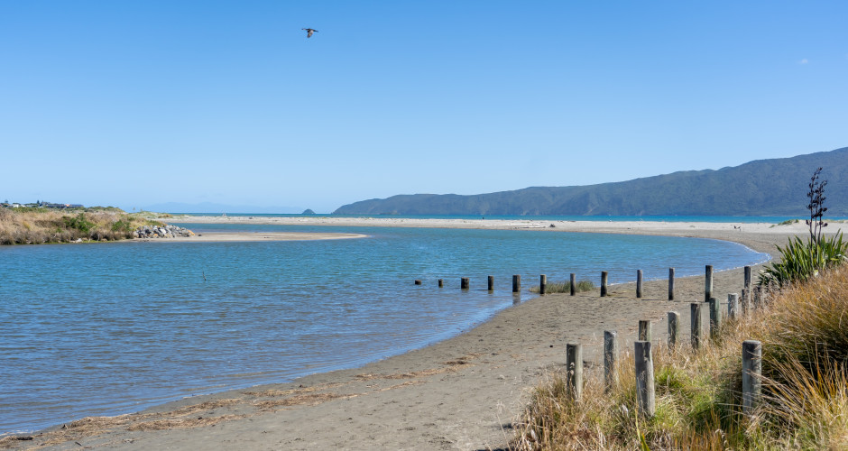 June Market Report 's Cover Image